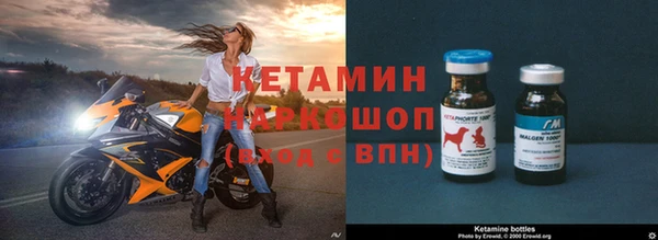 шишки Покачи