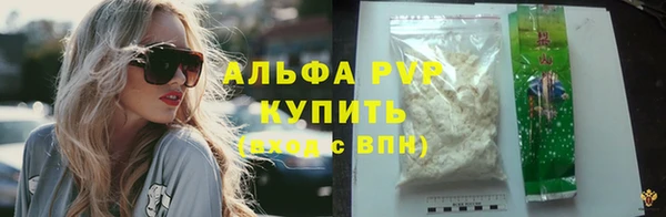 СК Елизово