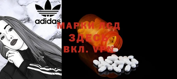 СК Елизово