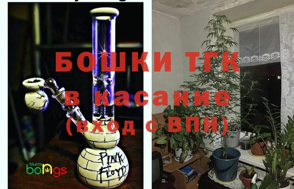 СК Елизово