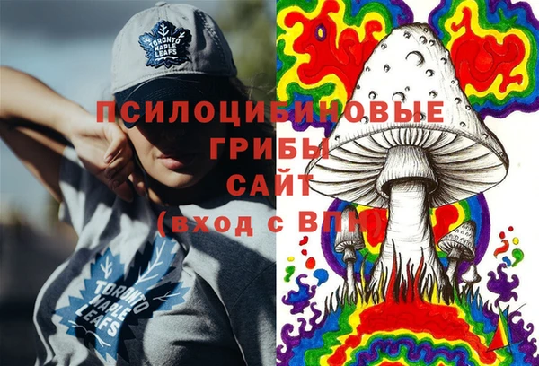 марки lsd Ельня