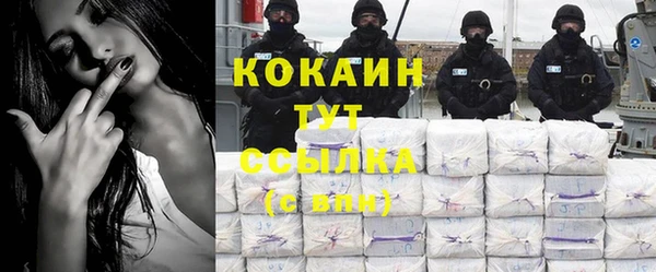 СК Елизово