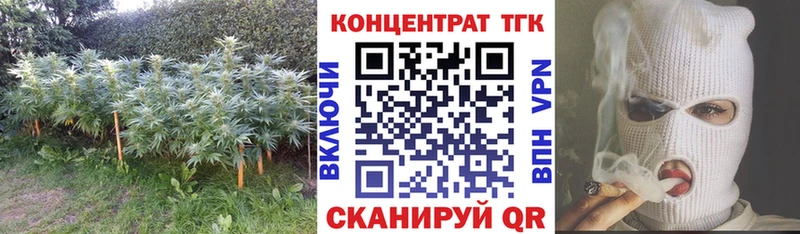 ТГК Wax Пролетарск